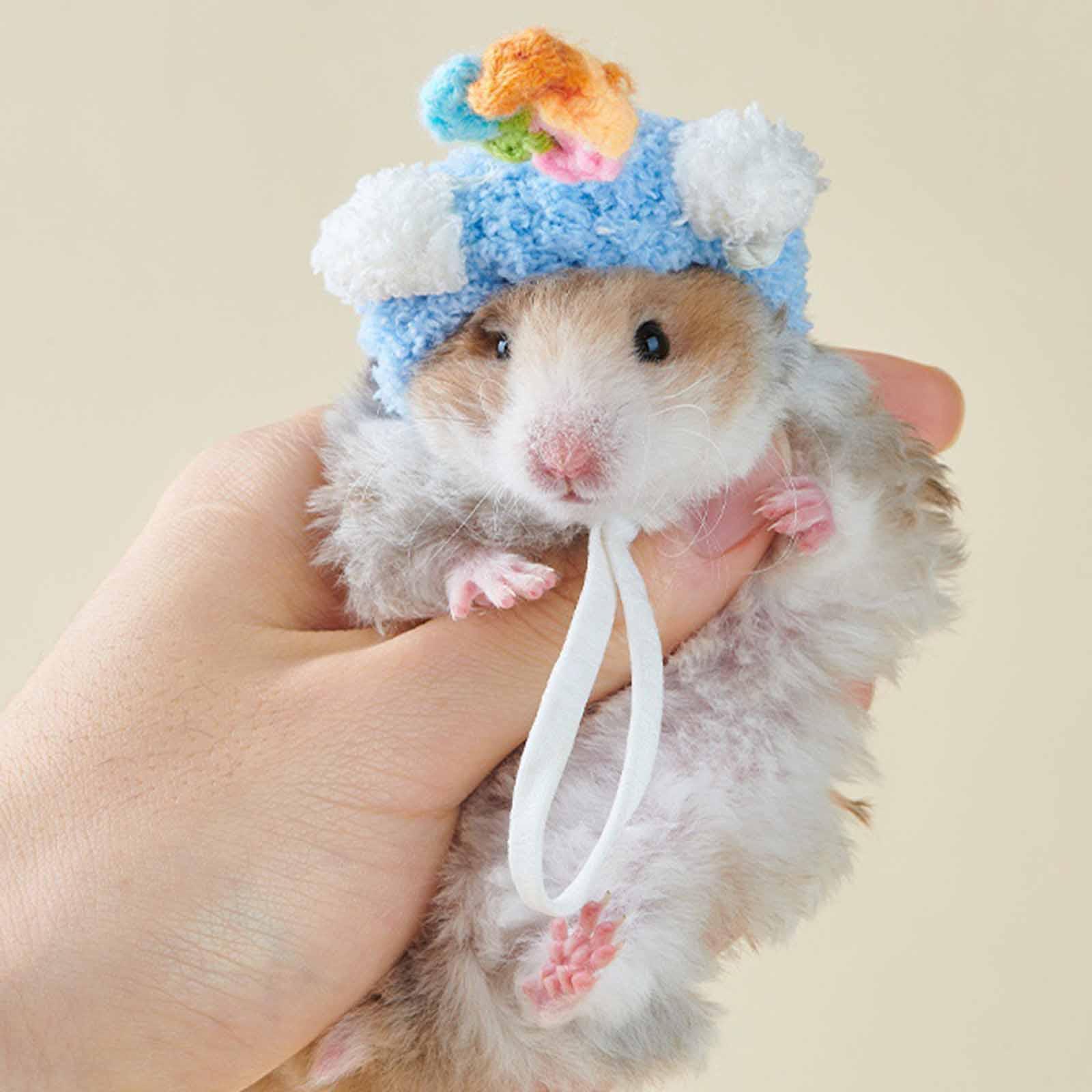 Anime Cosplay India - Sombrero de Hamster de Dibujos Animados,