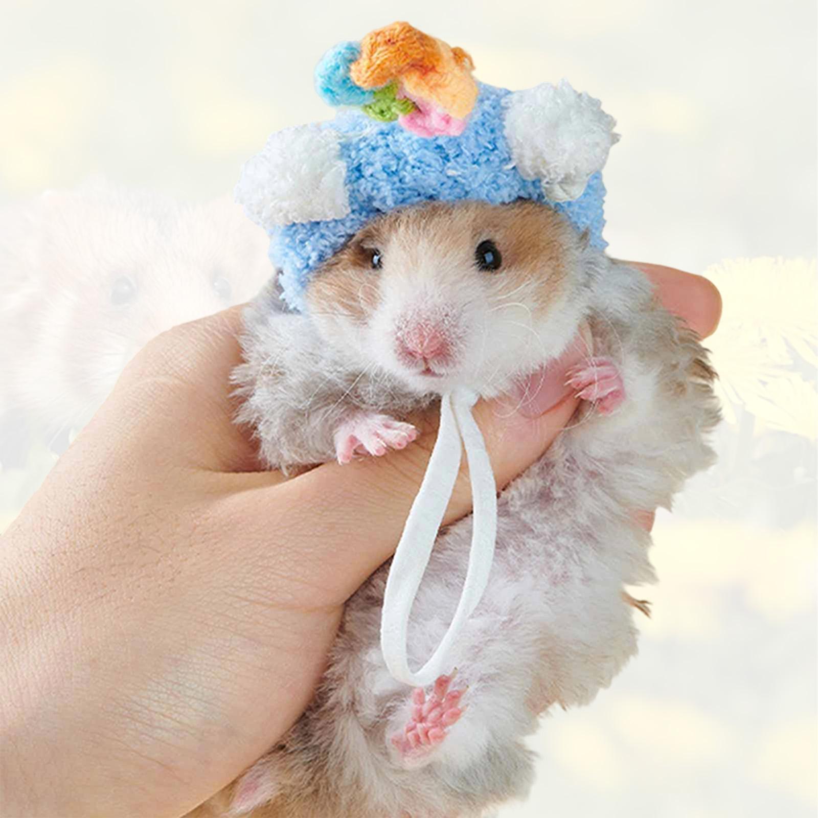 Sombrero de Hamster de Dibujos - Anime Cosplay India reseña y precio