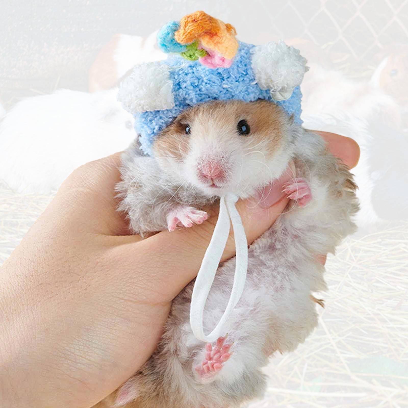 Sombrero de Hamster de Dibujos - Anime Cosplay India reseña y precio